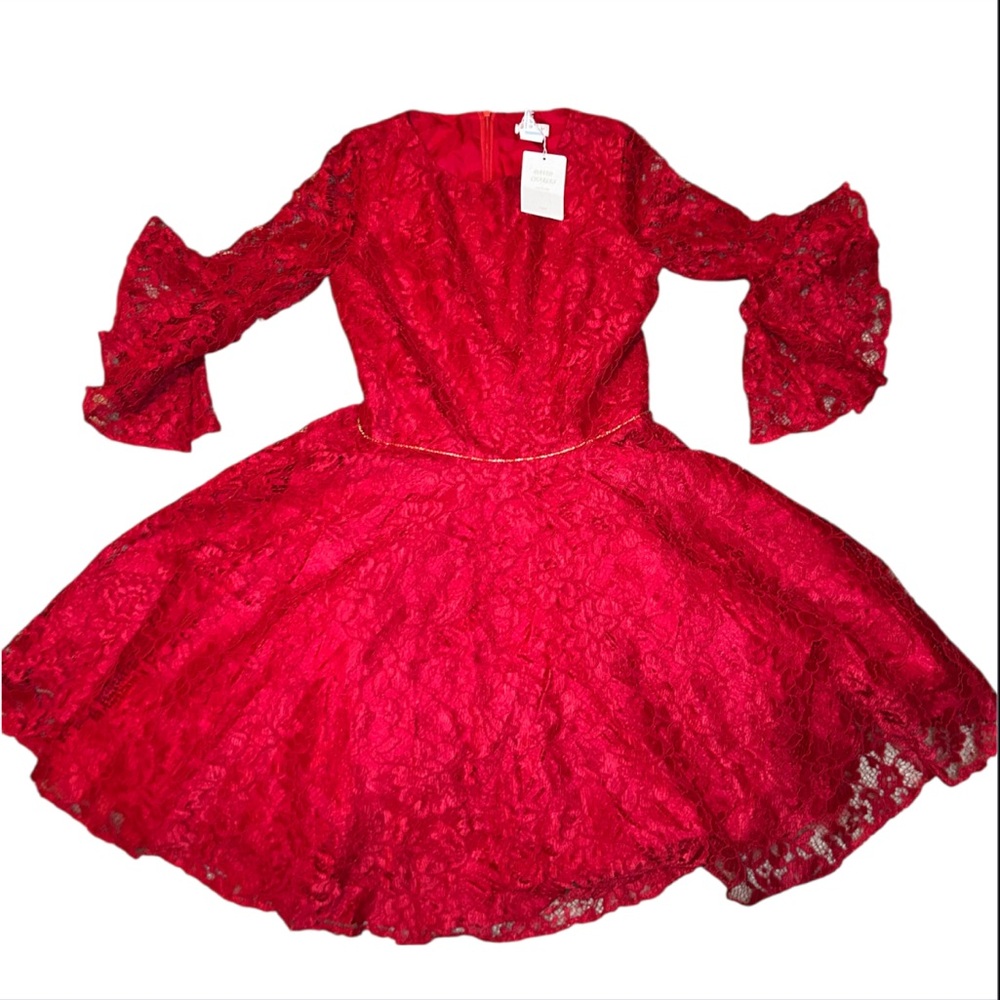 NWT David Charles Black Label London Red Lace Kids Formal Dress Sz 16 $190 Rtl